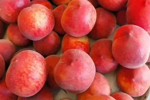 龙泉驿水蜜桃的品质，果形圆而不正