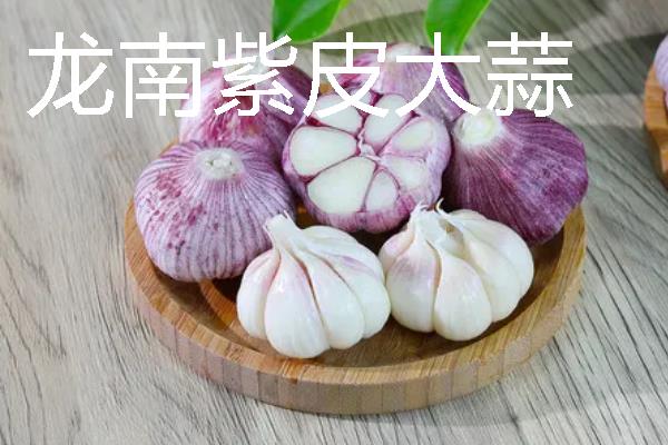 江西省龙南市的特产，有紫皮大蒜、龙南珍珠汤等