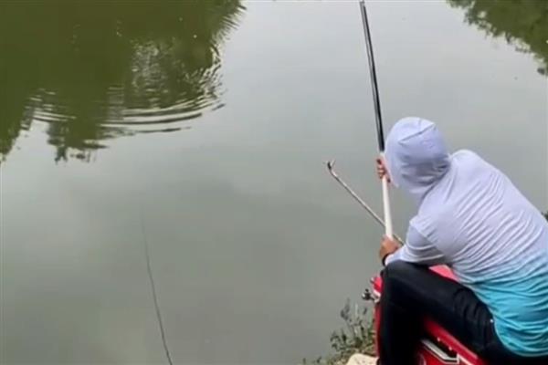 怎么垂钓鲫鱼，尽量选择水草区、入水口等位置作钓