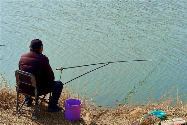 怎么垂钓鲫鱼，尽量选择水草区、入水口等位置作钓