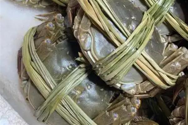 11月份的螃蟹肥吗，正值蟹膏饱满的时期