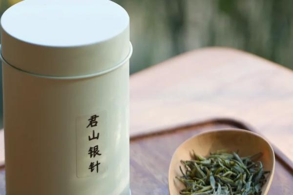 君山银针是什么茶，是黄茶