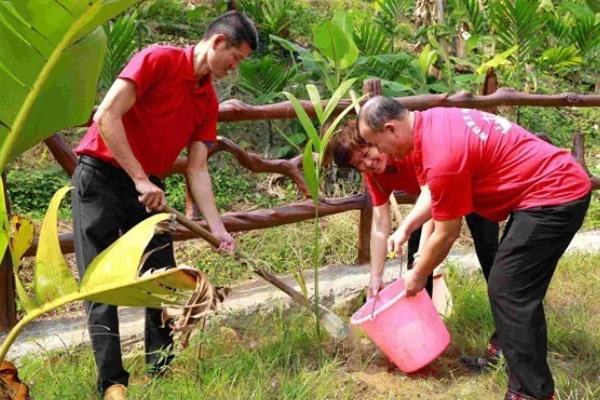 给槟榔施肥要不要挖沟,在树冠两侧开沟施入