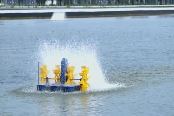 武昌鱼怎么养殖，池水深度保持在2米以上