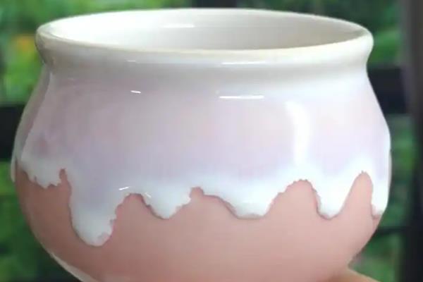 虎皮兰怎么浇水，不同季节的浇水方法不同