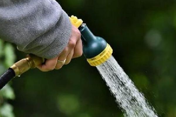 锦带花有什么花语，代表前程似锦、绚烂等含义