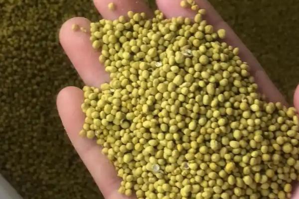 锦带花有什么花语，代表前程似锦、绚烂等含义