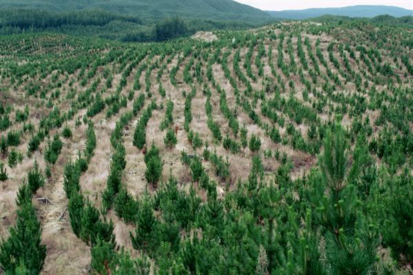水土流失有哪些防治措施，包括工程措施、生物措施等