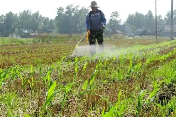 水溶肥和液体肥的区别,定义和用途均不同