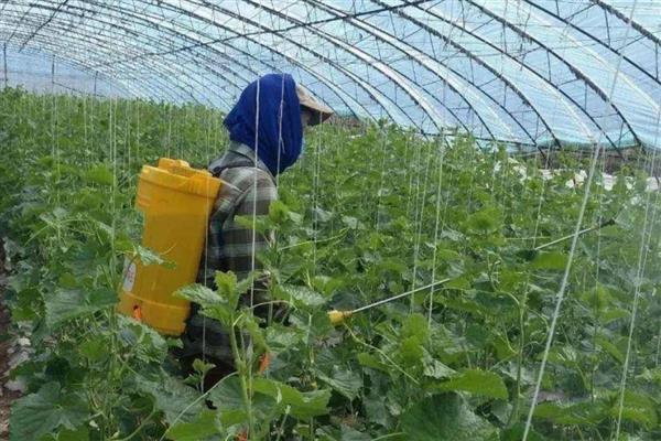 水溶肥和液体肥的区别,定义和用途均不同