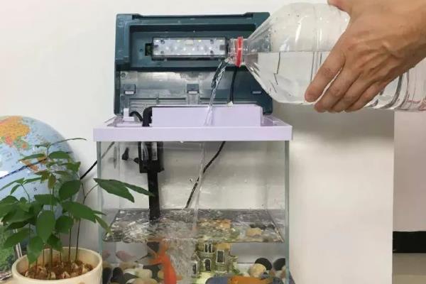 冷水鱼的适宜水温,适合保持在0-20℃