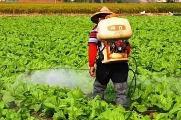 除草剂的种类，分为灭生性和选择性除草剂