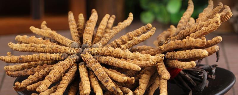 冬虫夏草有没有保质期，放在冰箱中冷冻可存放2年左右