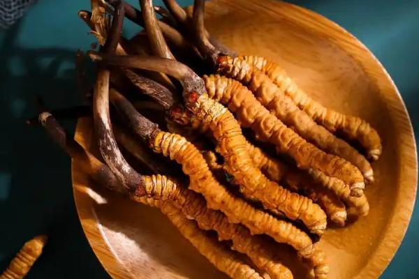 冬虫夏草有没有保质期,放在冰箱中冷冻可存放2年左右