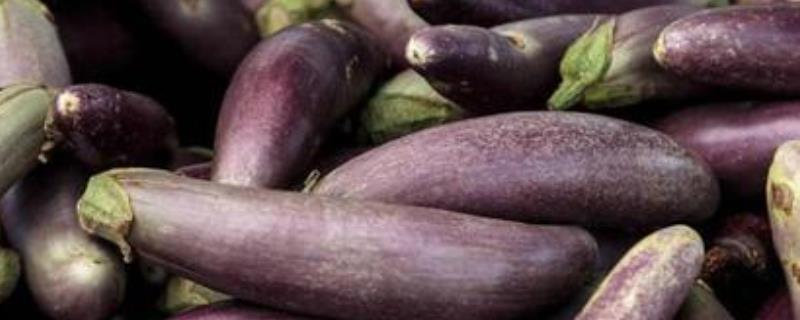 茄子能不能用冰箱保存，存放2-3天就要尽快食用