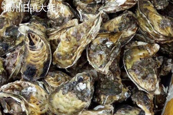 福建海蛎什么时候最肥，12月到来年开春最肥