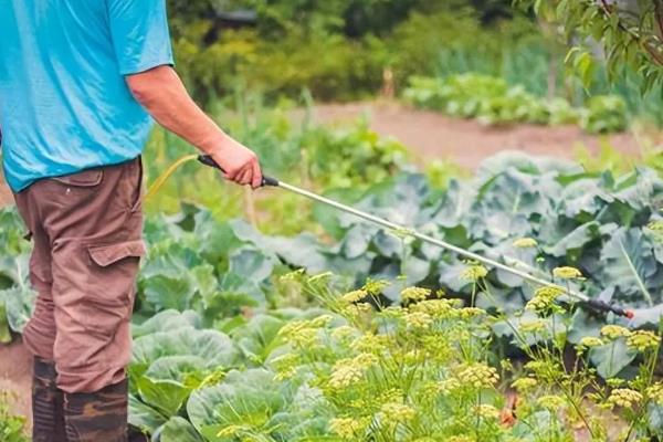 去除果蔬农残的三板斧是什么，是清洗、去皮和烹饪