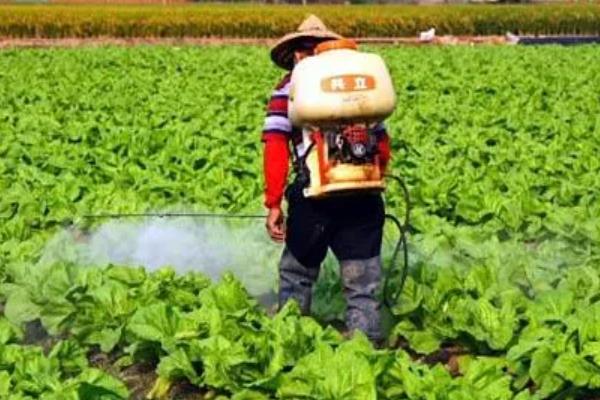 去除果蔬农残的三板斧是什么，是清洗、去皮和烹饪