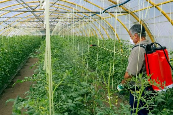 去除果蔬农残的三板斧是什么，是清洗、去皮和烹饪