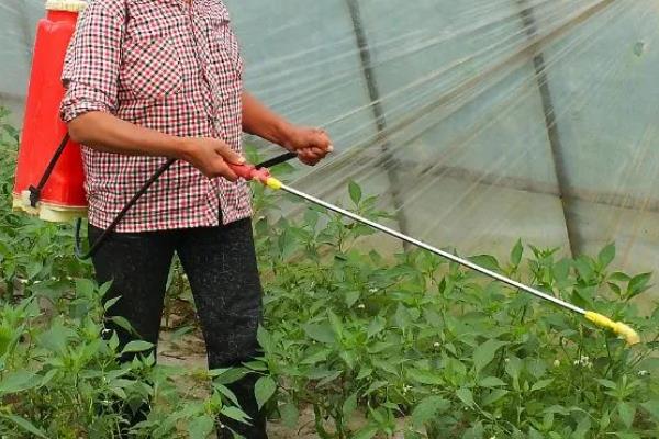 去除果蔬农残的三板斧是什么，是清洗、去皮和烹饪