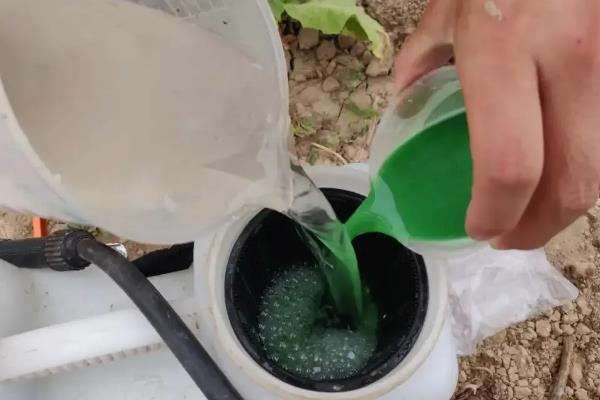 吡虫啉70兑水的使用方法，2-3g兑水45-60公斤