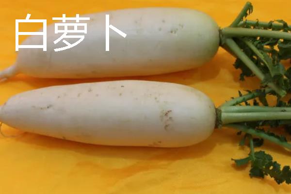 萝卜的拼音，读音是luó bo