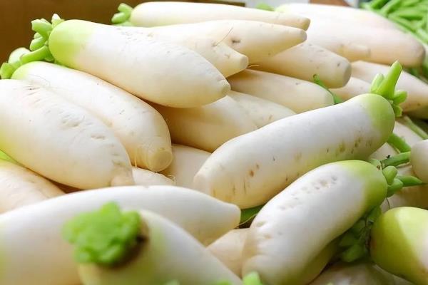 萝卜的拼音，读音是luó bo