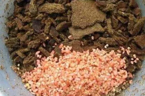 夜钓鲤鱼的最佳饵料，可选择自然饵料或自制饵料