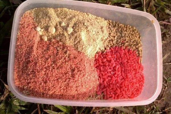 夜钓鲤鱼的最佳饵料，可选择自然饵料或自制饵料