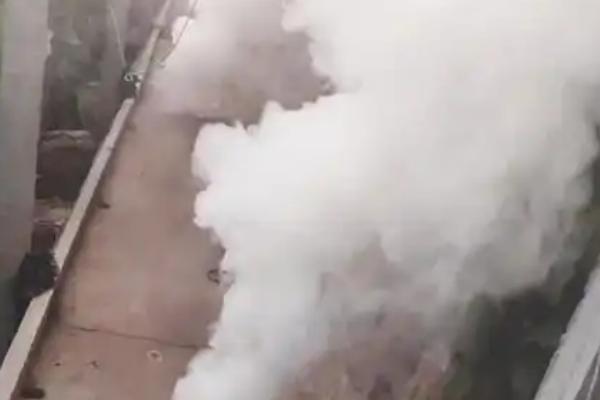 中药材苗期怎么管理，用吡虫啉拌种可防治蚜虫