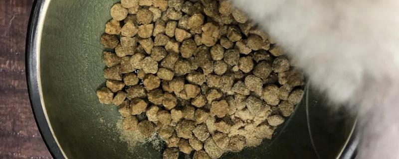 猫咪吃高蛋白猫粮后拉肚子的原因，可能是消化酶不足所致
