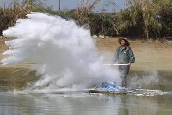 养殖胡子鲶鱼怎么防治病害,防治病毒性烂皮病可用生石灰兑水泼洒