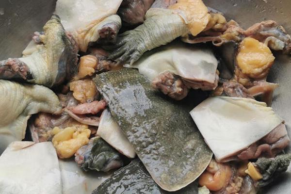 甲鱼怎么挑选，身体圆、裙边宽厚的甲鱼肉质更好