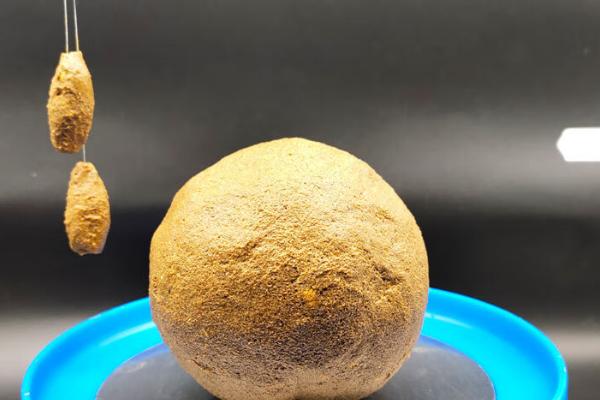 怎么在黑坑中钓青鱼，用颗粒饲料打窝可起到引诱效果