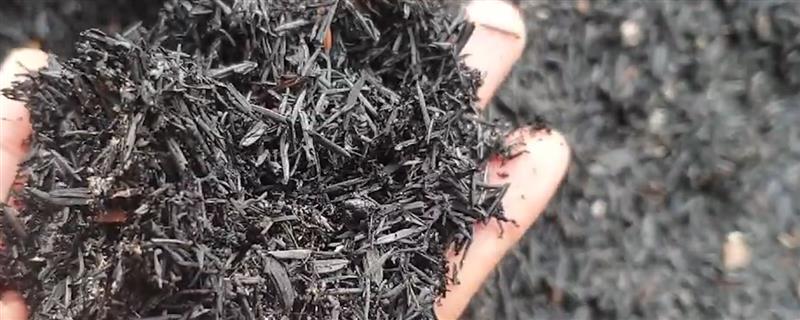 稻壳炭对植物有什么作用，既能保暖又能提供养分