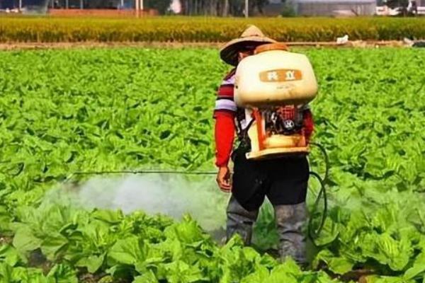 除草剂怎么施才不影响作物生长，需根据土壤的特性来喷施