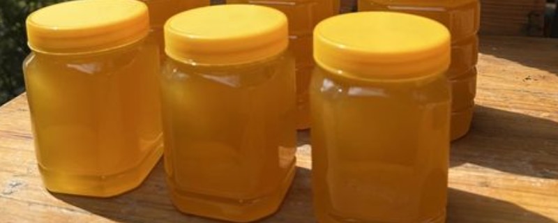 荔枝蜜和蜂蜜的区别，荔枝蜜就是蜂蜜的一种