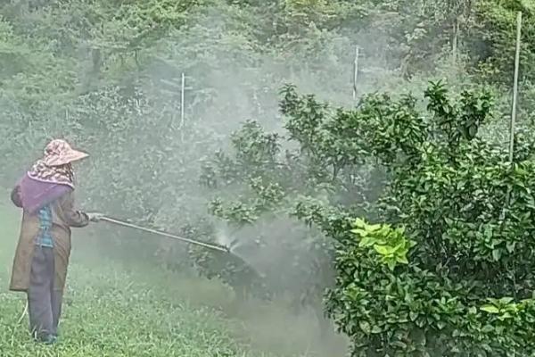吡虫啉有什么作用，可防治飞虱、叶蝉、蚜虫等害虫