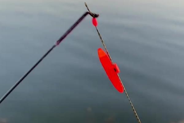 谷麦钓法鱼钩如何选择，可选择伊势尼钩、伊豆钩等