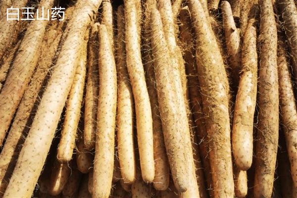 白玉山药与铁棍山药有何区别，外观和口感明显不同
