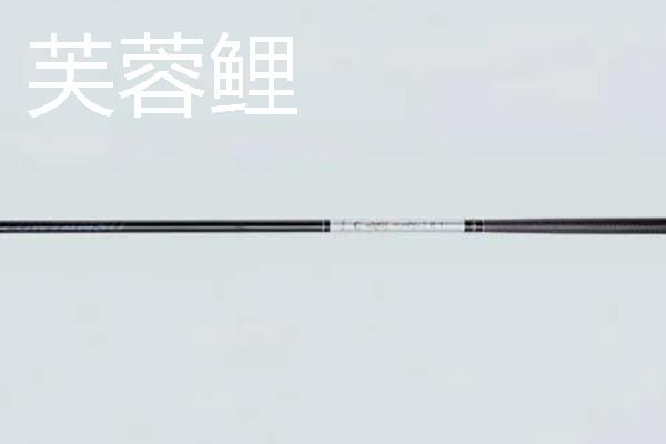 5H鱼竿推荐品牌，芙蓉鲤、浪尖等品牌值得考虑