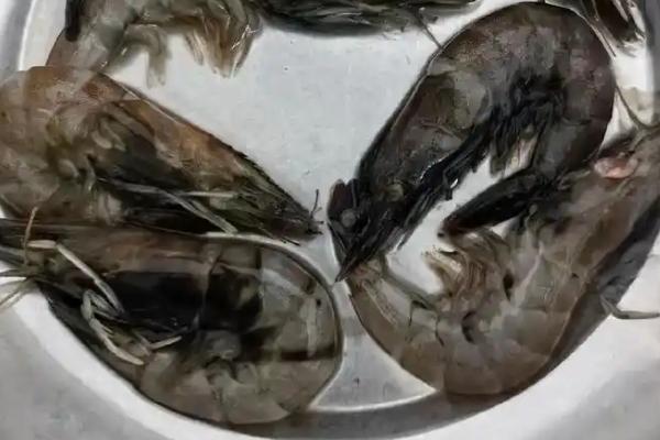 虾冻久了变黑能不能吃，仅仅外表变黑依然可以食用