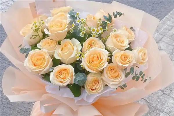 香槟玫瑰有什么花语，代表优雅与沉着、我只钟情你一个等含义