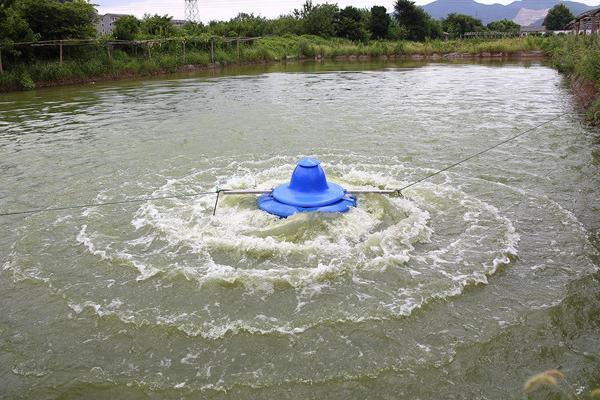 水产的增氧方法，以化学增氧、机械增氧、生物增氧为主