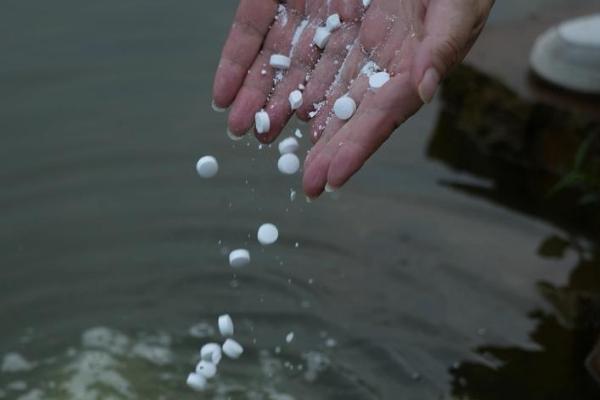 水产的增氧方法，以化学增氧、机械增氧、生物增氧为主