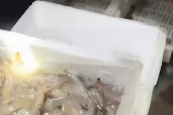 水产的增氧方法，以化学增氧、机械增氧、生物增氧为主