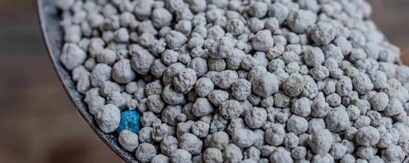 植物磷肥过多的危害，会出现代谢紊乱、果实过早成熟等问题