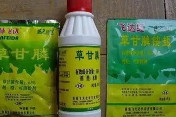 草甘膦钾盐和草甘膦铵盐的区别，前者活性更好