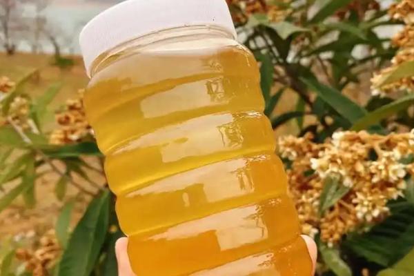 苕子蜜好还是洋槐蜜好，洋槐蜜的色泽和口感更优