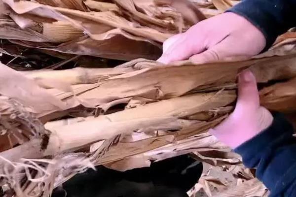 姜叶子能不能喂羊，粉碎后拌入精料中饲喂
